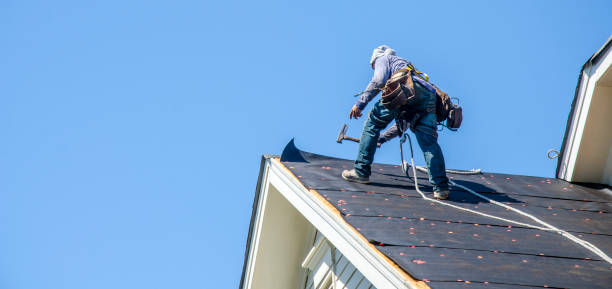 Best Roof Repair Services  in Vernal, UT